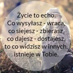 Cytaty o co siejesz to zbierasz - mądre słowa na życie i inspirację
