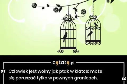 Cytaty o wolności: wolny jak ptak i jego ograniczenia w życiu