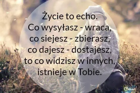 Cytaty o co siejesz to zbierasz - mądre słowa na życie i inspirację