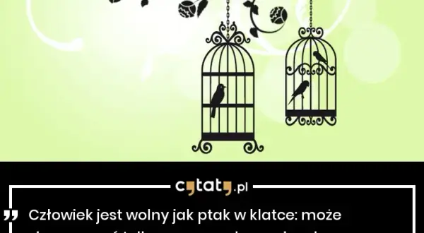 Cytaty o wolności: wolny jak ptak i jego ograniczenia w życiu